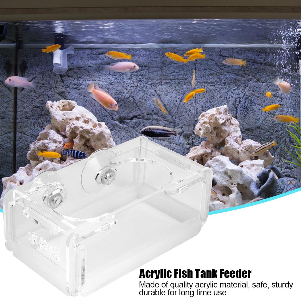 Akrylowy podajnik pokarmu dla ryb do akwarium z przyssawką Prosta instalacja
