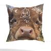 Nuova Federa Cuscino Simbolo Delta Therian Quadrata Stampa Double-Sided Peluche Corto Copricuscino Divano Camera da Letto Comodino