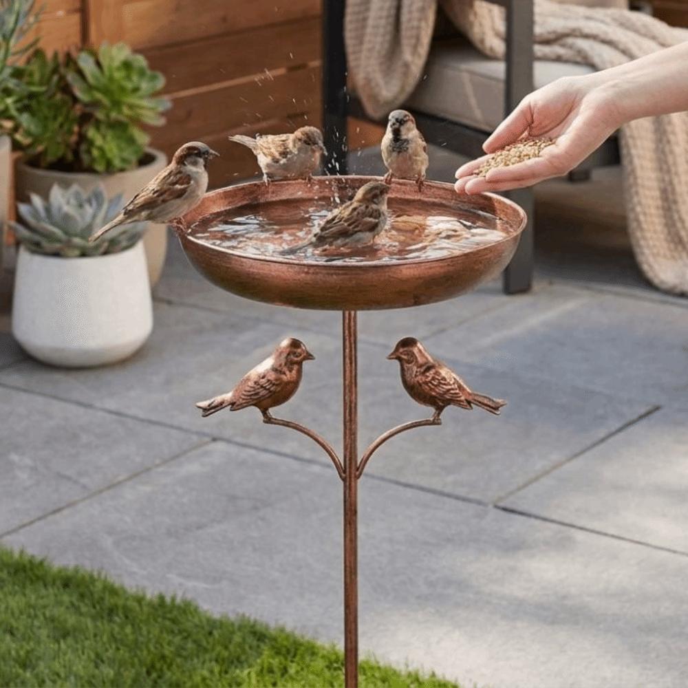5 Claw Ground Plug Freestanding Birdbath Standing Bowl Bird Feeding Station Outdoor Garden