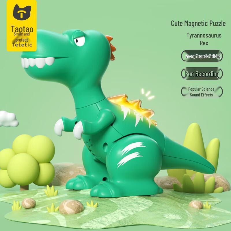 Taotao Genius Kids  Educational Toys & Gifts