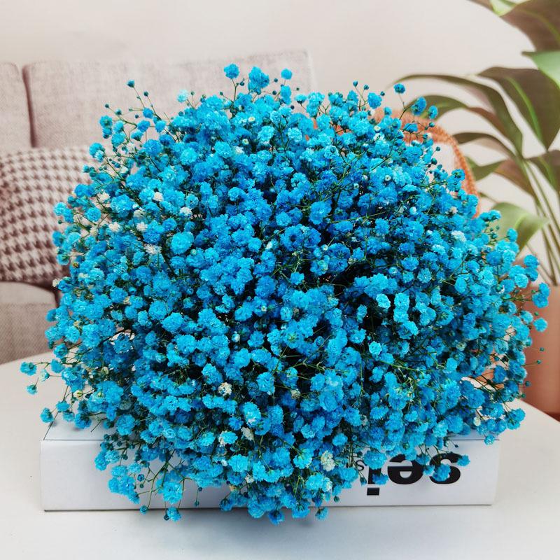 Baby's Breath Dried Flower Bouquet for Living Room Decor - Real Fresh Cut Flowers, Perfect for Gifting and Decorative Ornaments.