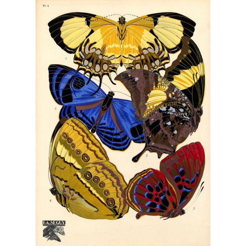 

1924 Эжен Сеги Винтаж Бабочка Иллюстрация Плакат Французский Papillon Холст Картина Природа Настенное Искусство Гостиная Домашний Декор 21cm×30cm NoFrame