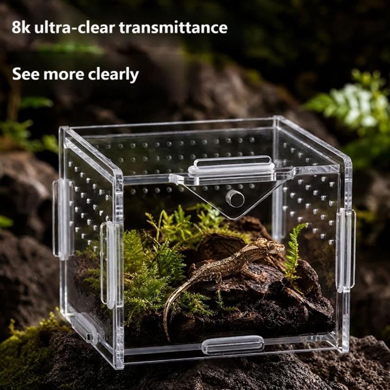 Klare Lebensraumbox für kleine Reptilien Tiere, Beobachtungsfenster Acrylgehege Belüftetes Design mit seitlichen und oberen Luftöffnungen