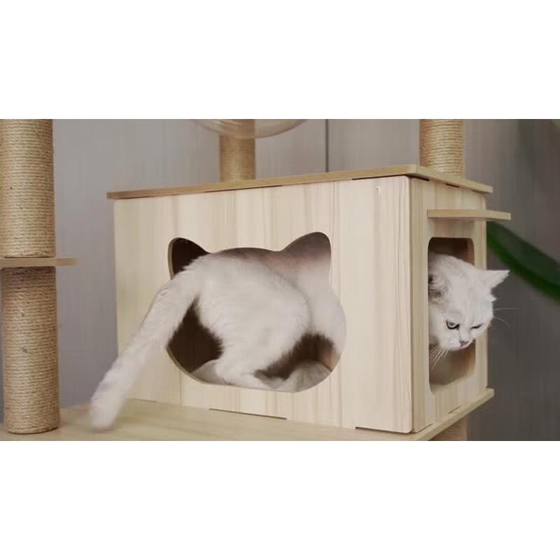 JINGRUIXIANG Cat Tree with Space Capsule
