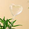 2Pcs Plant Glass Watering Globes Self Watering Globes Heart Shape Self Watering Bulbs Devices Plant Watering Bulbs