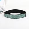 Rhinestone Elastic Wide Belt Flash Diamond Women's Versatile Waistband Fashionable Elastic Belt