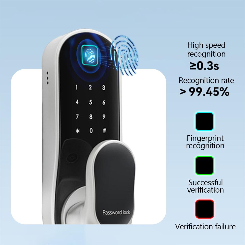 Smart Door Lock Keyless Entry Door Lock Handle with 2 Cards and 2 Keys Biometric Door Lock App Remote Operation WiFi