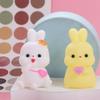 6pcs/set PVC Easter Bunny Fidget Decorated Rabbit Slow Rebound Toy Rabbit Squeeze Toys  Adult