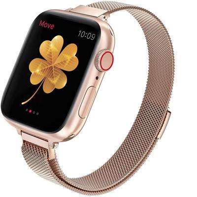 Magnetische lusband Voor Apple watch Band 40mm 44mm 45mm 41mm 49mm Slank Roestvrijstalen armband iWatch series 5 6 se 7 8 ultra