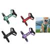 Adjustable Durable Traction Rope Interactive Lead Leash Dog Collars Pet Harness