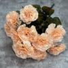 Realistic Artificial Carnations Bouquet 13 Head Simulation Carnations  Home Living Room Decor