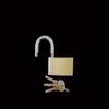 1PC Lock 32mm/0.96inch Padlock for Travel Bag, Gym Locker Padlock with Keys