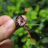 Новий портативний безколекторний двигун Outrunner 1503 2750Kv, різні стилі, 2 канали, FPV гонки, CW CCW, з пропелером, ESC для DIY моделі