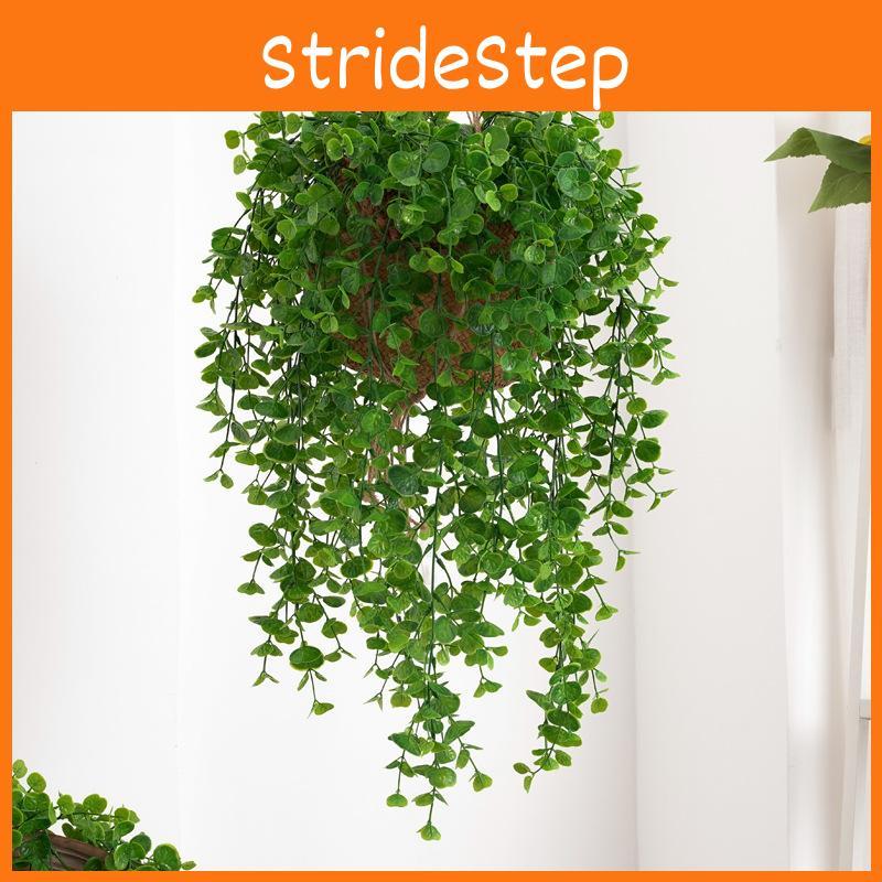 Plant Wall Eucalyptus Plastic Leaves Interior Design Photography Scenes