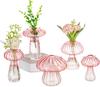 5Pcs/set Colourful Mushroom Glass Vase Creative Hydroponic Flower Pot Simple Table Decoration Home Decor Creative Vase