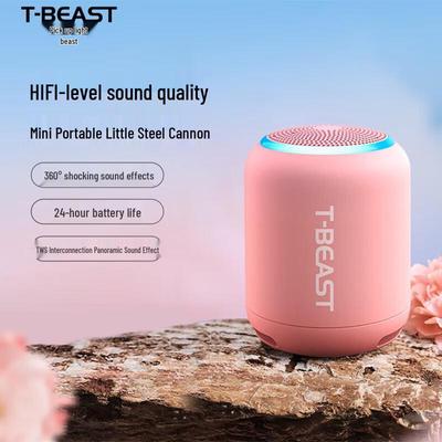Audio & Video – Tragbare & Bluetooth-Lautsprecher
