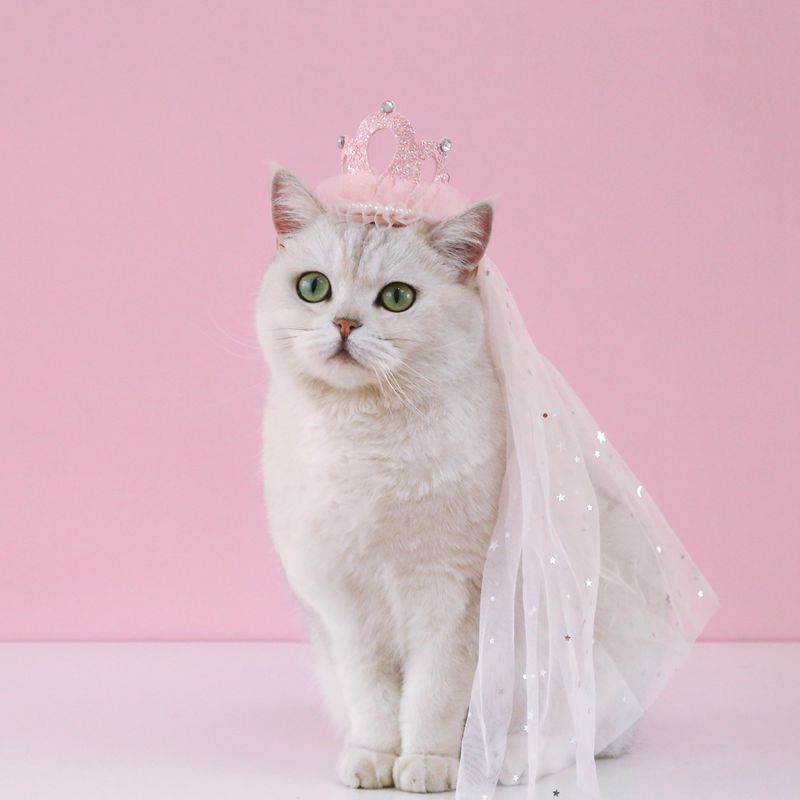 Pet Birthday Hat Bib Party Hat Cat Puppy Lace Saliva Towel Dog Bandana Scarf Dog Birthday Dress Up Photography Props Supplies