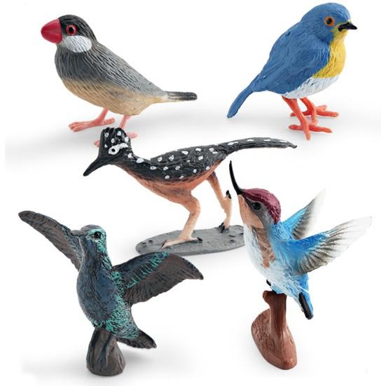 Realistische Vogel Figur Kuckuck Mannequin Kolibri Rotkehlchen Modell Miniatur Figur Kinder