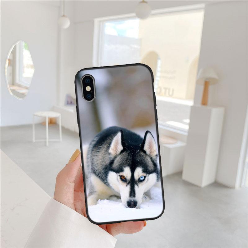 CJ66 Husky Puppy Dog Soft Shell Phone Case for Samsung Galaxy S20 S21 S22 Ultra FE + Plus A21S A22 A24 A25 A26 A30 A30S A31