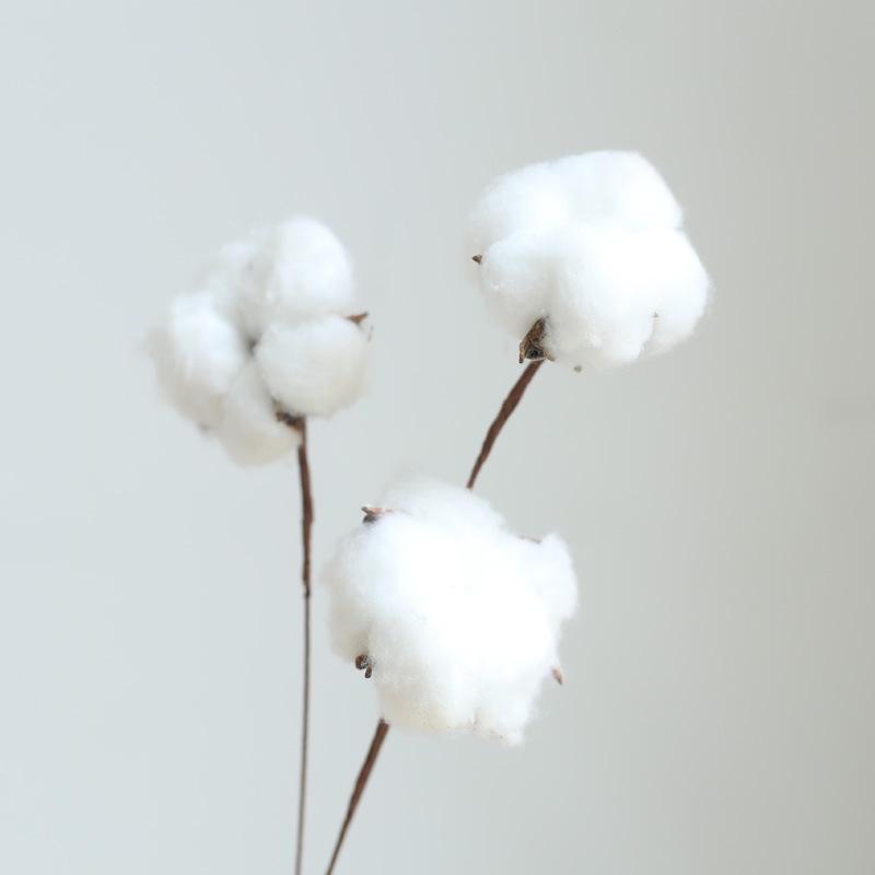 Yunnan Dried & Immortal Flowers Bouquet: Baby's Breath, Roses, Forget-Me-Nots for Home & Homestay Decor