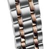Seiko Presage Japanese Garden Mechanical Men's SARY262 Wrist Watch