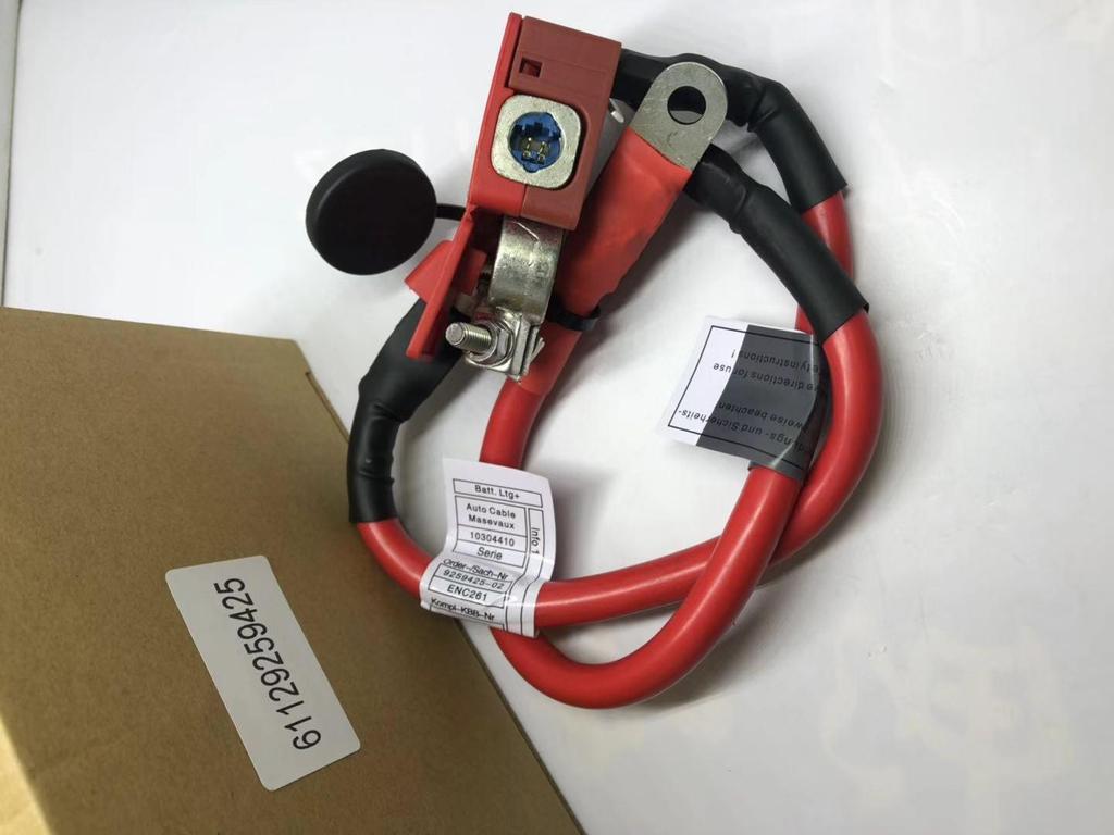 BMW F30/F31/F34/F36 Batteriekabel 61129259425