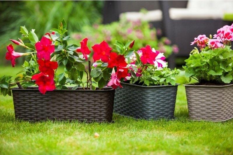 Anthrazit Rattan Balkonkasten 40 cm