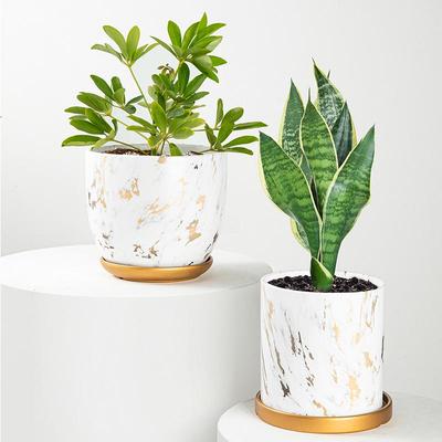 Decorazioni per la casa – Vasi di fiori decorativi