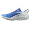 Salomon Sense Ride 5 кроссовки трейловые