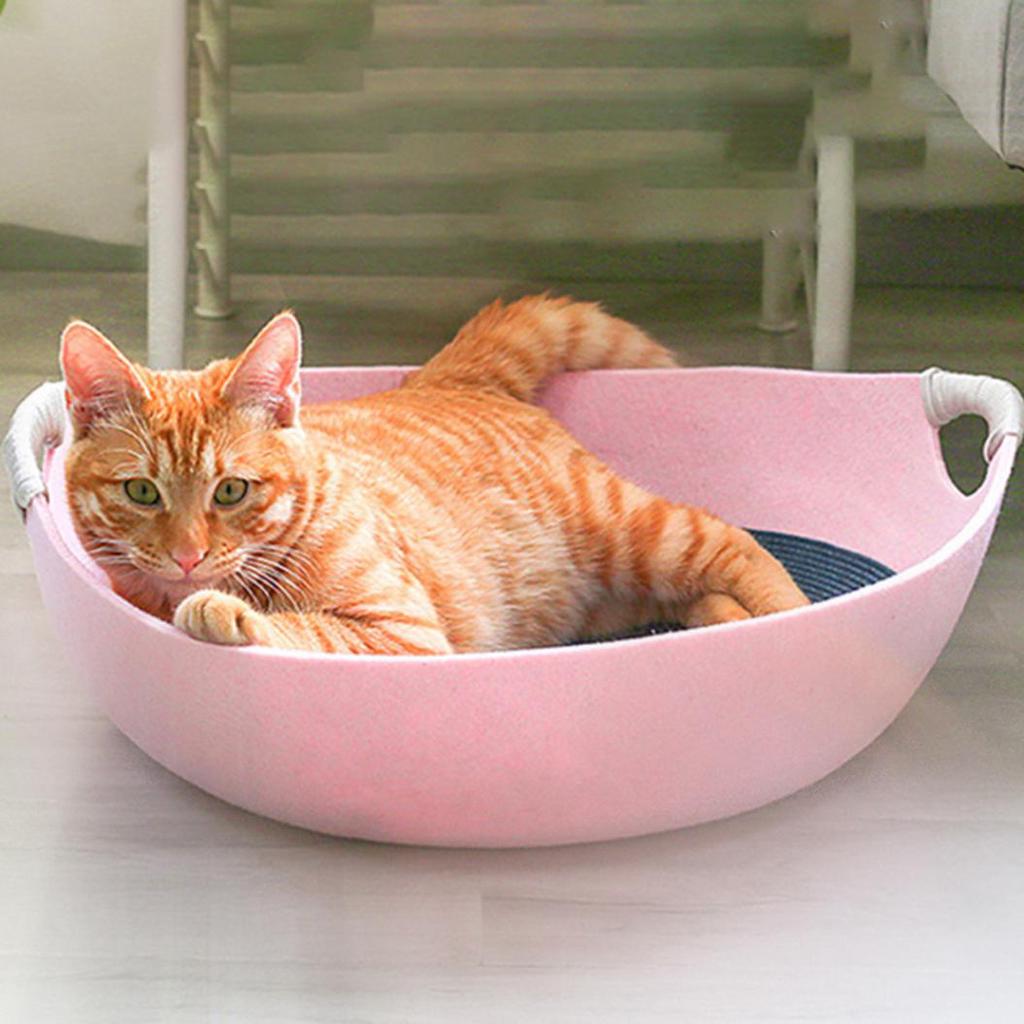 cat bed bowl