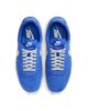 IQ0635-400 Nike Daybreak SP Hyper Royal (Men's)