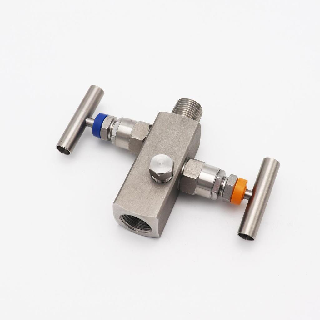 304/316L Two-Valve Pressure Transmitter Manifold with Pressure Gauges