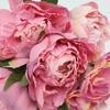 8 Head Artificial Peony Silk Flower Leaf Home Wedding Party Decor Floral Bouquet