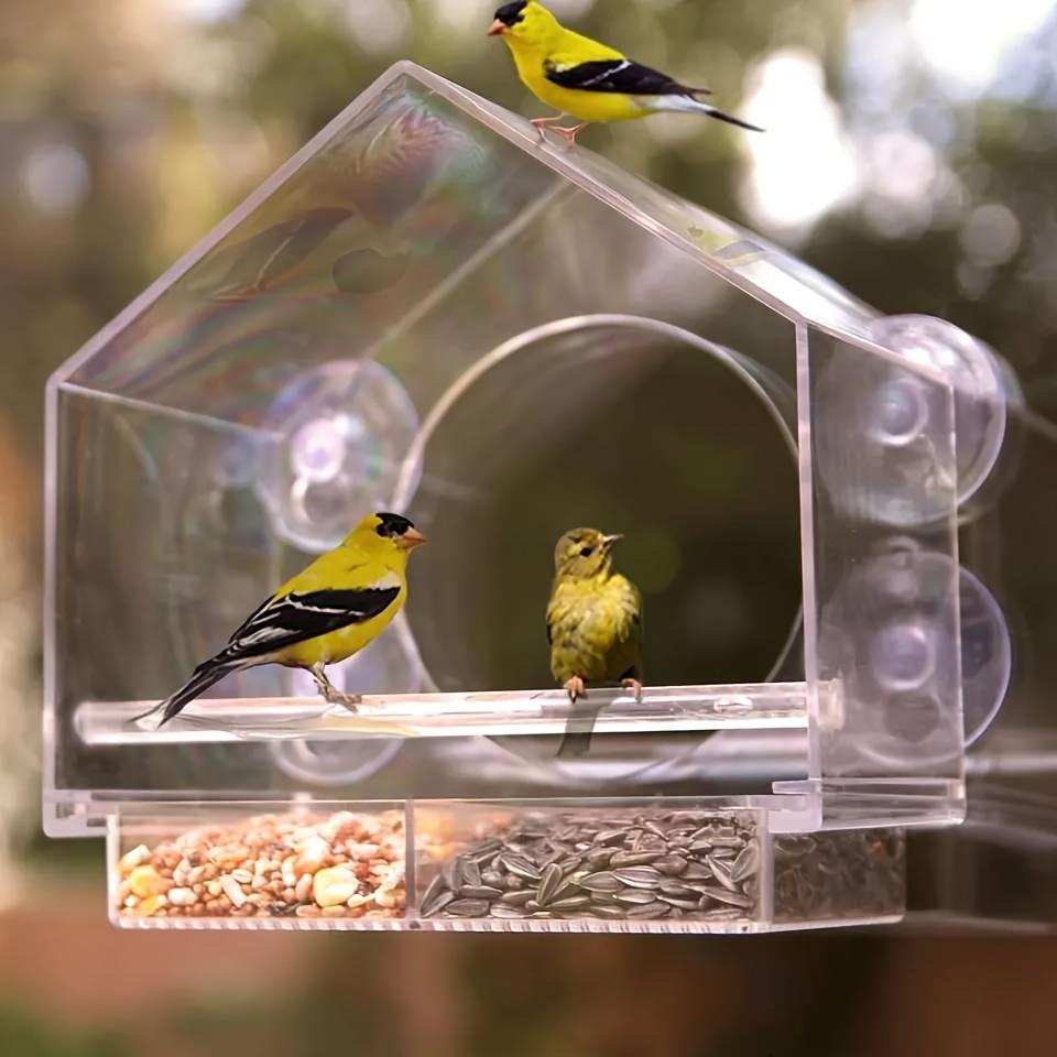 Acrylic Birdhouse Clear Glass Window Hanging Birds Squirrel Feeder Wild Animal Seed Peanut Tray with Drain Holes Strong Suction