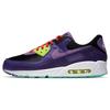 Air Max 90 Violet Blend Sneakers Casual Shoes CZ5588-001