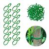 500Pcs Garden Vine Strapping Clips Plant Bundled Buckle Rings Holder Tomato Garden Plant Stand Garden Decors Accessories