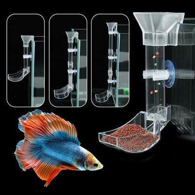 Peces y mascotas acuáticas – Mantenimiento de acuario