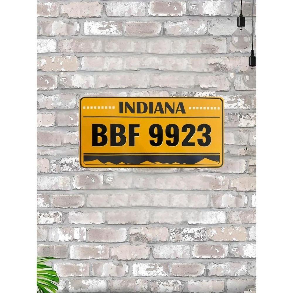 NÁS. registrační značka, USA. SPZ, kovová, 15x30 cm.