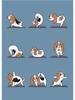 Modern Funny Cute Bulldog Cat Panda Yoga Gesture Poster And Print Canvas Painting Animal Nordic Wall Art Nursery Kidroom Decor