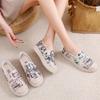 Nouvelles chaussures printemps-été 2025, chaussures à la mode coréenne, maille volante, chaussures monocouche respirantes pour hommes, baskets décontractées assorties, chaussures pour femmes