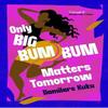 Only Big Bumbum Matters Tomorrow by Damilare Kuku Paperback Book 9781398529588