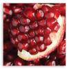 Canvastavla Granatäpple makro