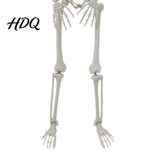 Movable Joint Skeleton for Party Halloween Posable Decoration 41 Inch Full Body Hanging Human with Indoor Outdoor Ornaments Joints Yard Garden Porch