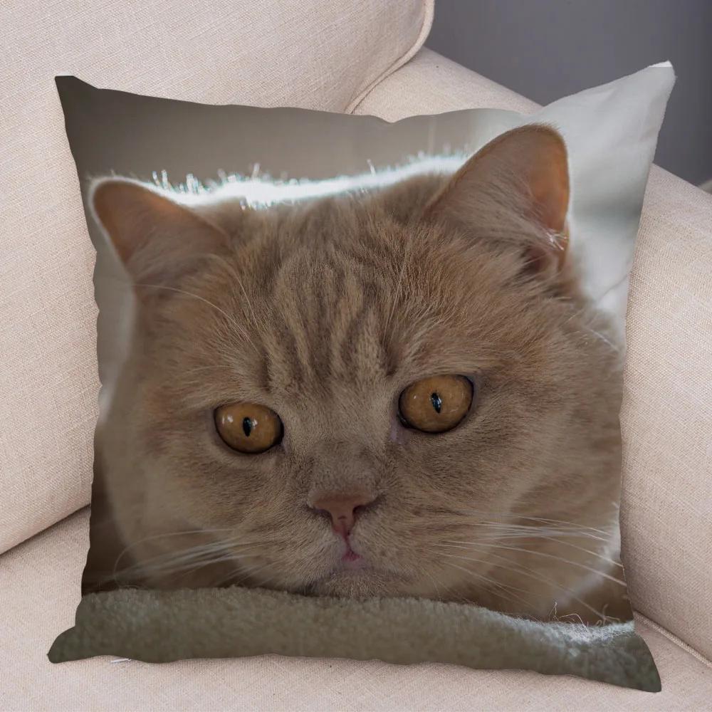 Russian Blue British Shorthair Cushion Cover Decor Cute Cat Pet Animal Pillowcase Soft Plush Pillow Case for Car Sofa Home