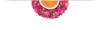 Dried Peony Petals 1kg Peony Edible Flowers