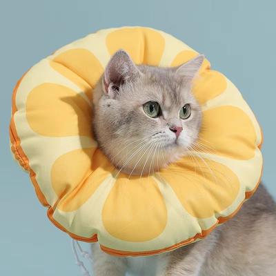 Katter – Vårdprodukter