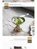 Elegant Stainless Steel Fruit Bowl - Creative Home Dining and Coffee Table Decoration Tray