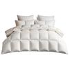 Premium Winter Down Duvet Quilt