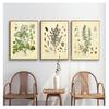Poster Parsley Sage Rosemary Thyme Culinary Wall Art Picture Canvas Painting Kitchen Decor Spices Herbs Print Vintage Botanical No Frame