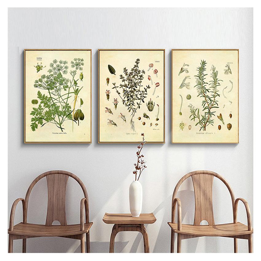 Poster Parsley Sage Rosemary Thyme Culinary Wall Art Picture Canvas Painting Kitchen Decor Spices Herbs Print Vintage Botanical No Frame